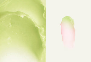 Manyo Our Vegan Color Lip Balm Green Pink Avocado  - HelloPeony
